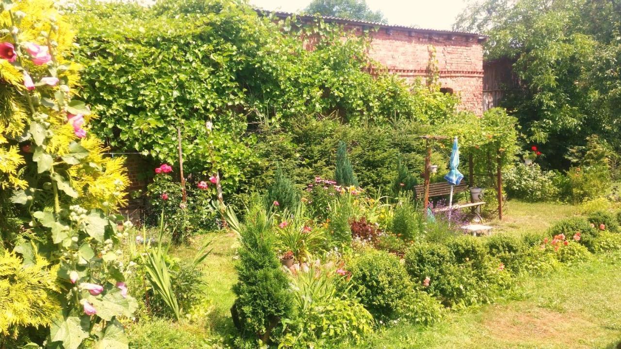 Nad Stawami Apartment Zwartowko Bagian luar foto